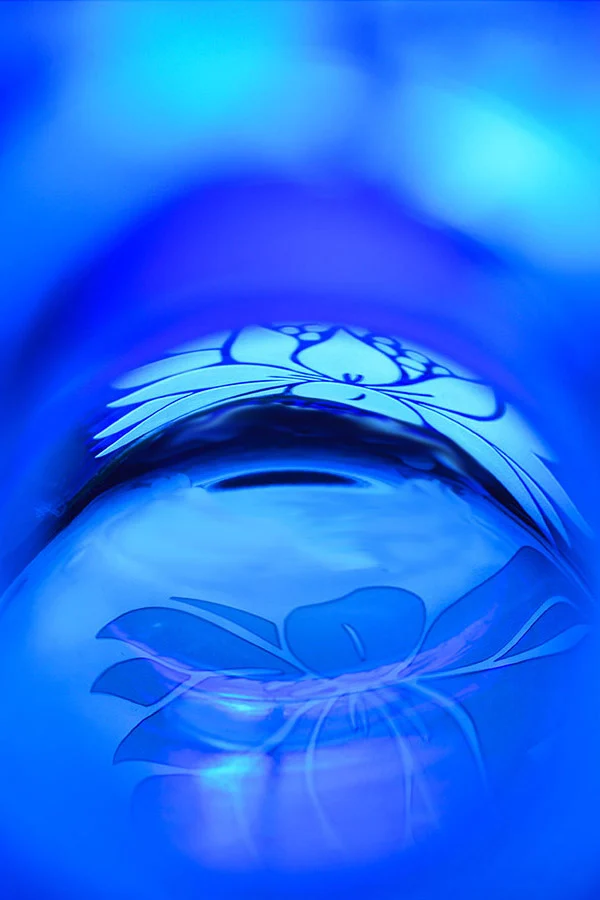 Lotus Bloom - Image 7