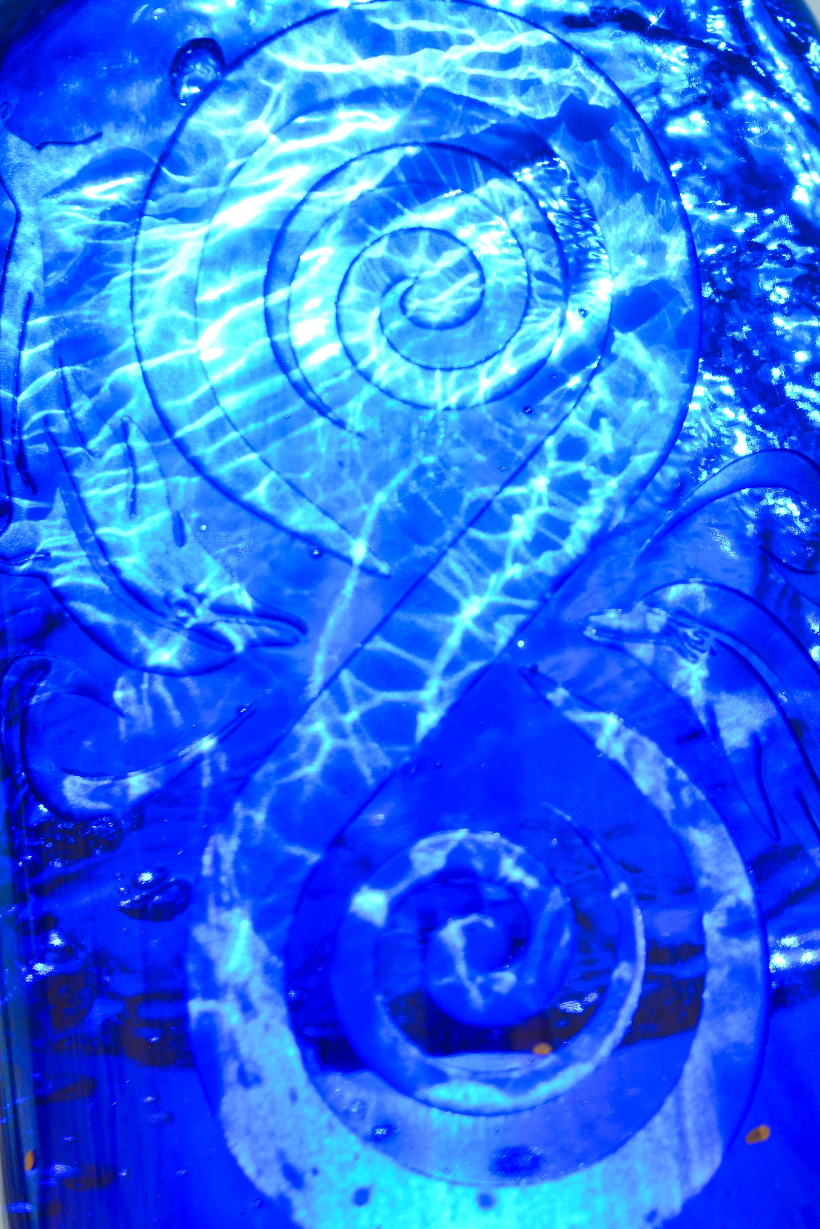 Dolphinitive Swirl - Image 5