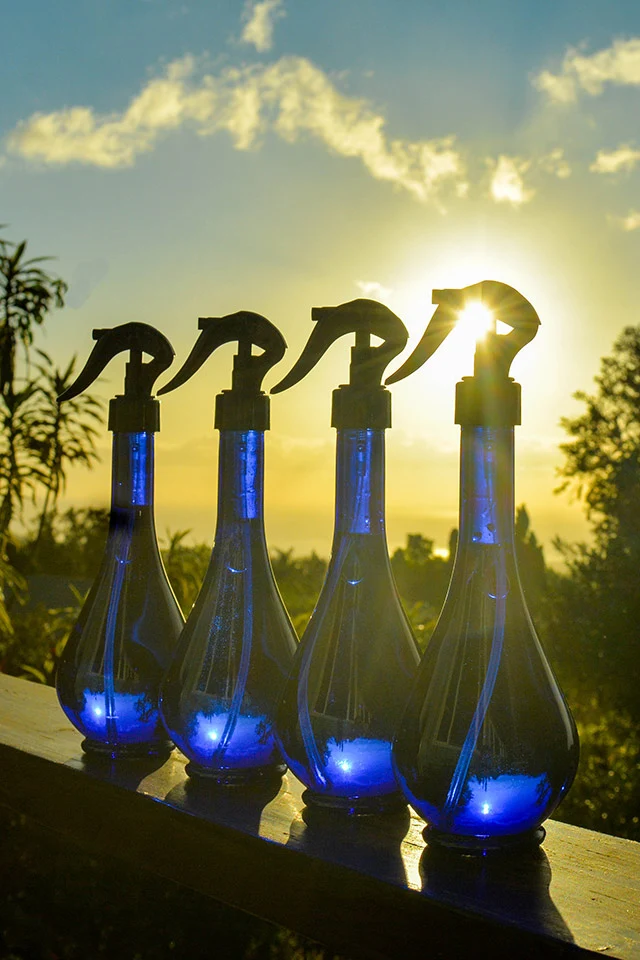 Blue Love Home & Body