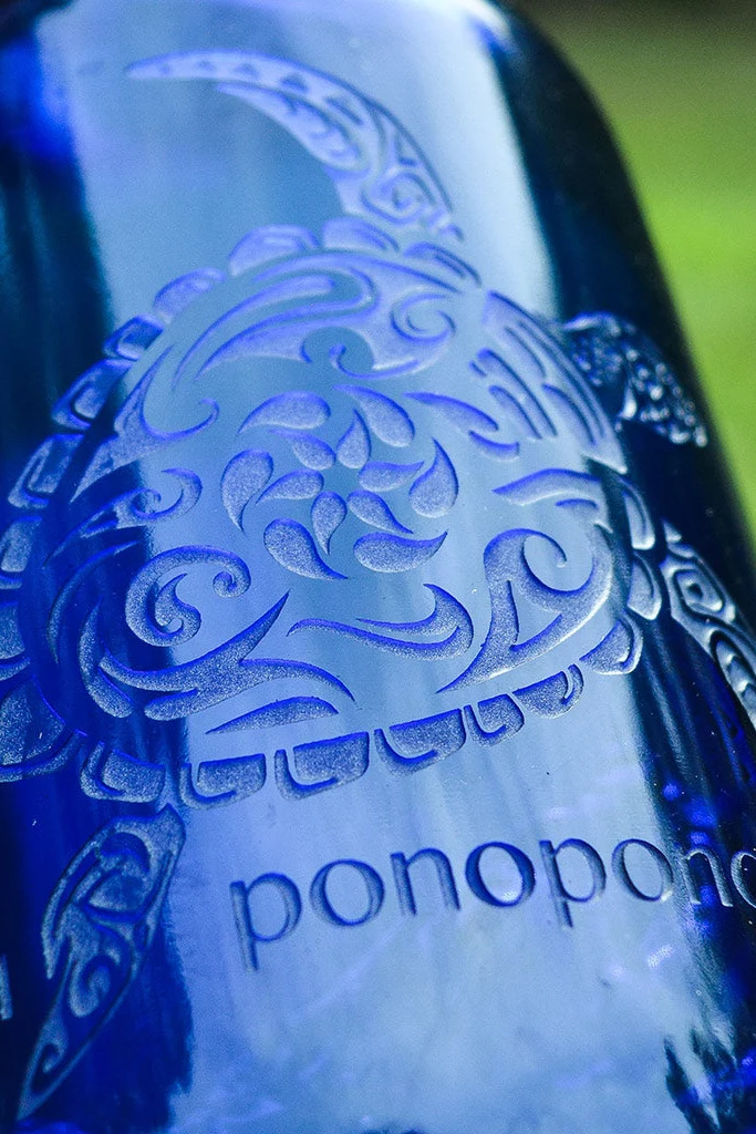 Honu PonoPono Turtle - Image 3